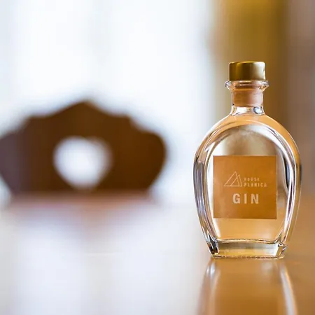 House Planica Počitniška hiša Kranjska Gora